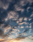 Анкета проститутки Таюша - метро Тверской, возраст - 22