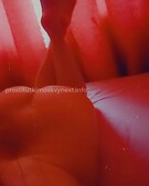 Анкета проститутки Милана - метро Тверской, возраст - 30